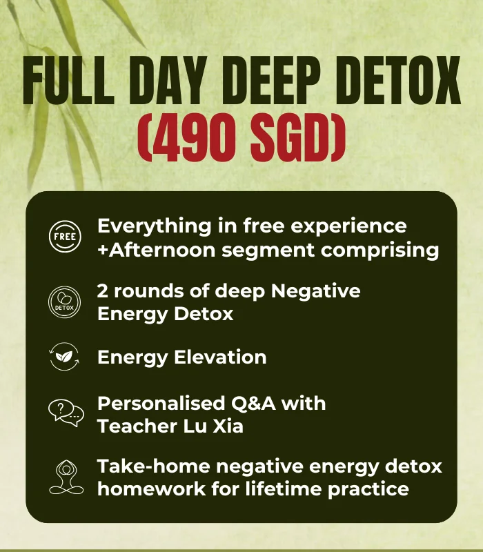 NEGATIVE ENERGY DETOX WORKSHOP