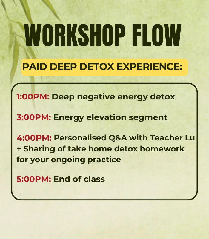 NEGATIVE ENERGY DETOX WORKSHOP