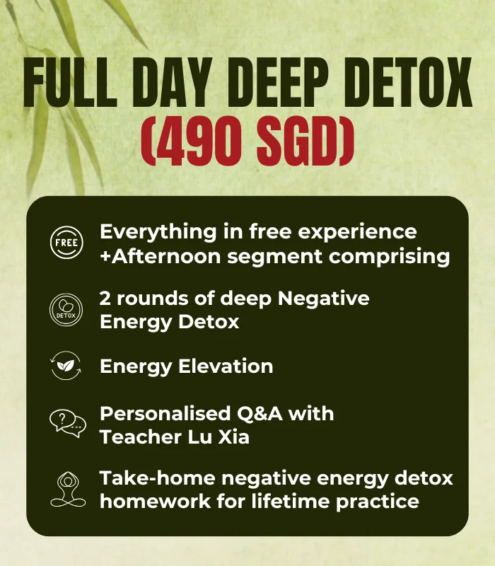 NEGATIVE ENERGY DETOX WORKSHOP