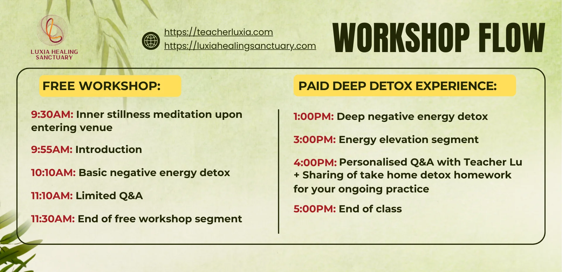 NEGATIVE ENERGY DETOX WORKSHOP