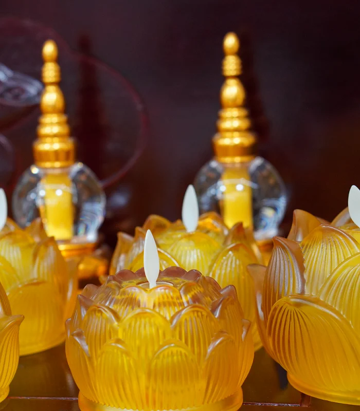 Lu Xia Healing Sanctuary Sponsorship Program