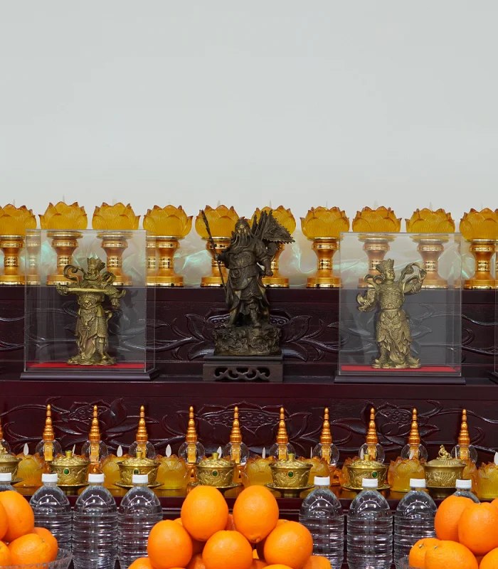 Lu Xia Healing Sanctuary Sponsorship Program