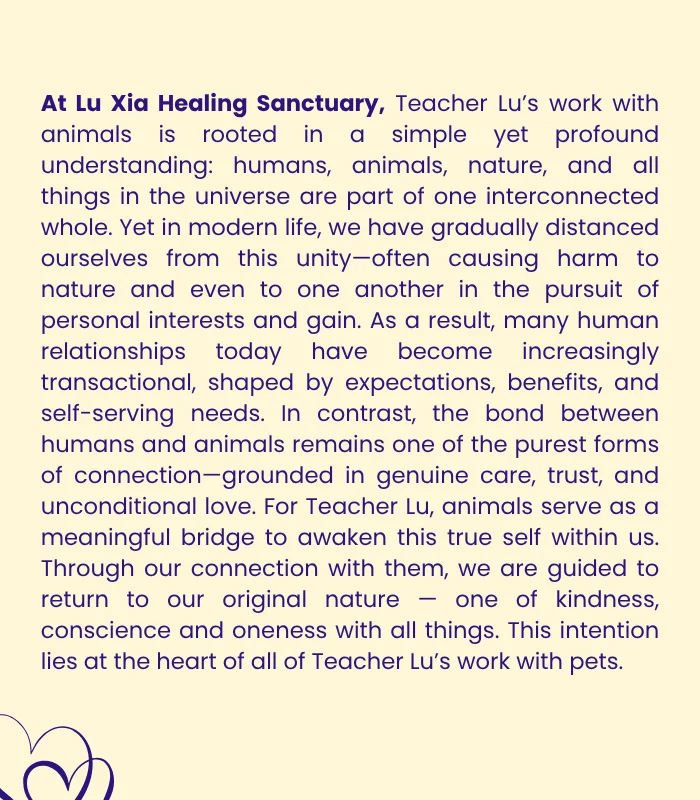 Pets & Animal Well-Being