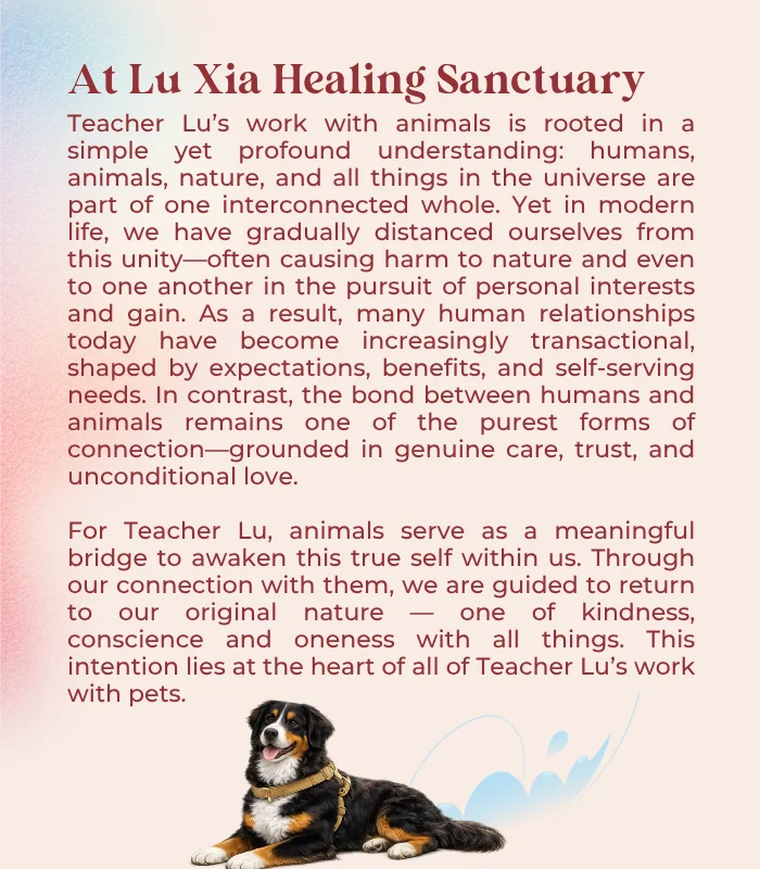 Pets & Animal Well-Being
