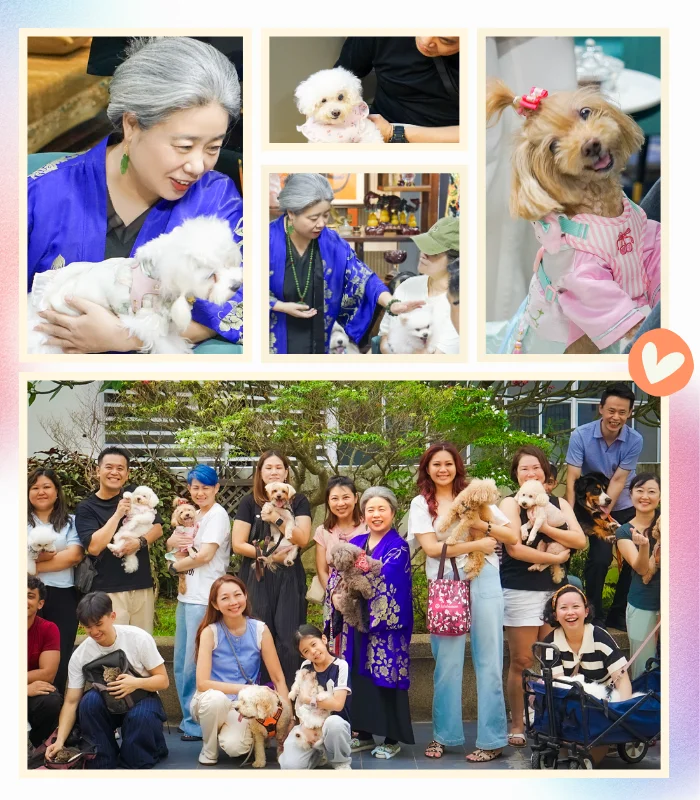 Pets & Animal Well-Being