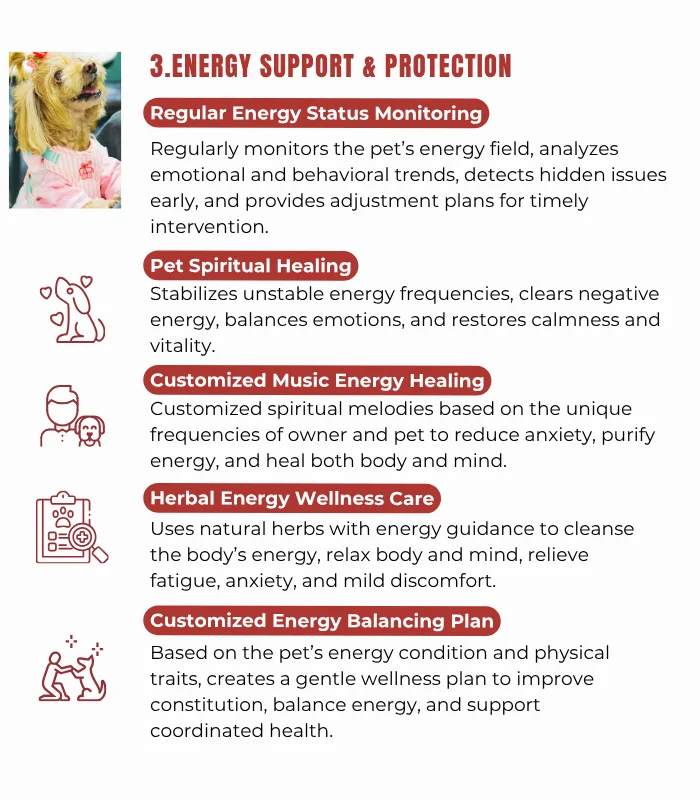 Pets & Animal Well-Being