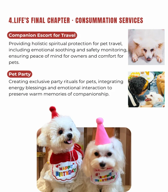 Pets & Animal Well-Being