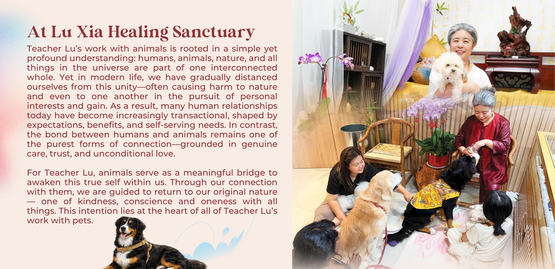 Pets & Animal Well-Being