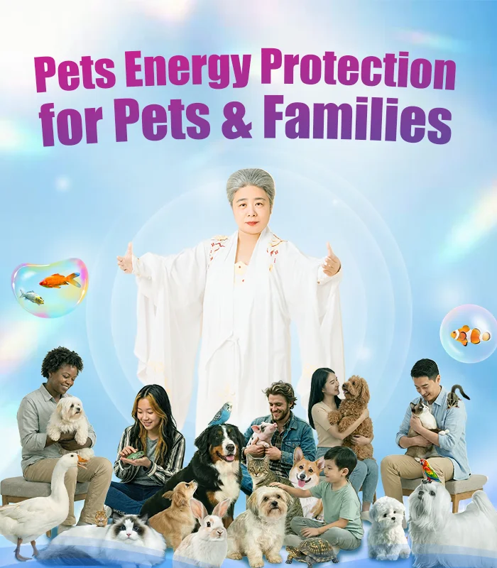 Pets & Animal Well-Being